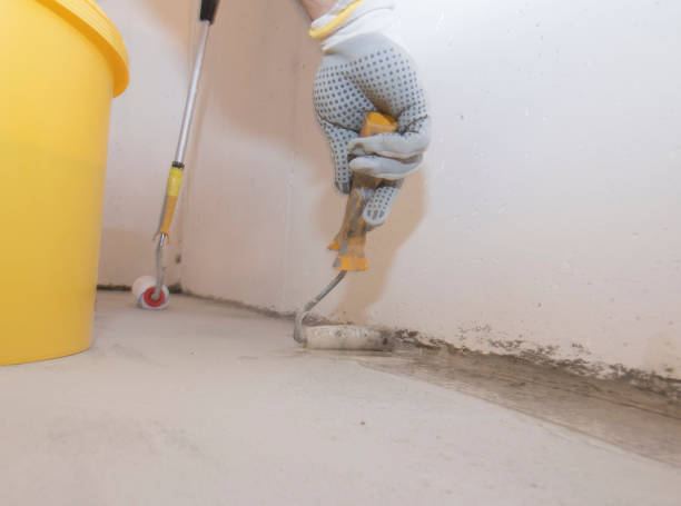 Best Fumigation Services  in Genoa City, WI